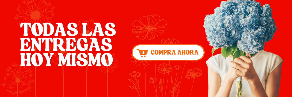 flores bogota|entrega a domicilio|ramos de flores 